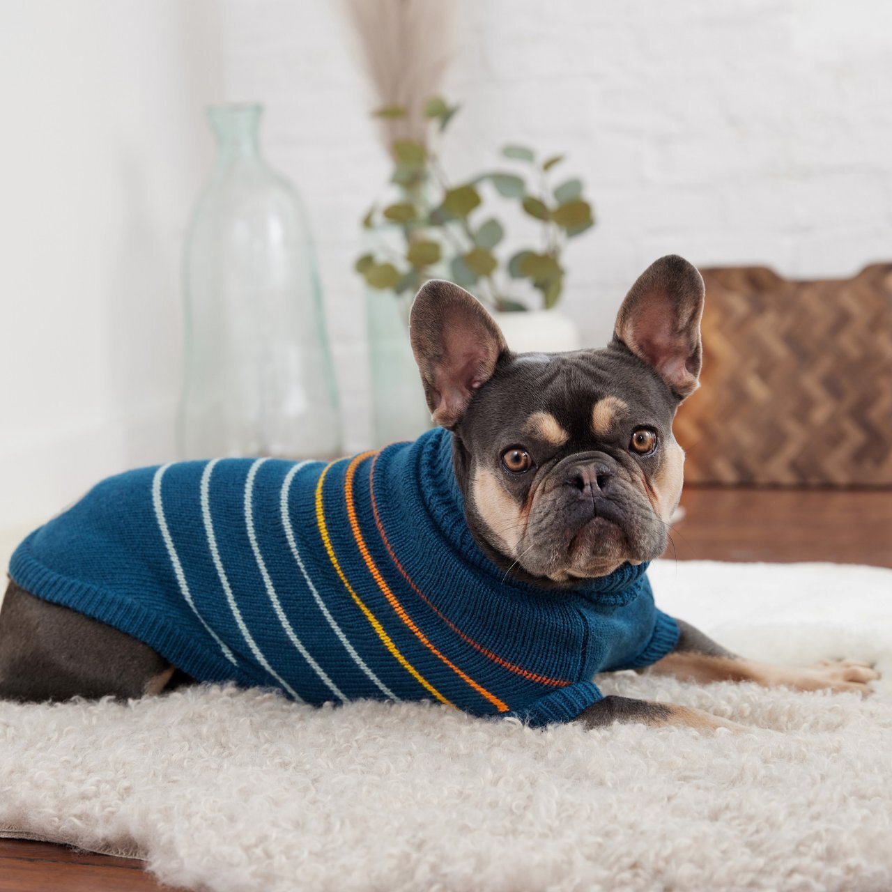 GF Pet Arctic Dog Sweater in Dark Teal Dog Apparel GF Pet Extra small (XS)