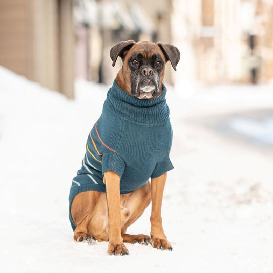 GF Pet Arctic Dog Sweater in Dark Teal Dog Apparel GF Pet Large (L)