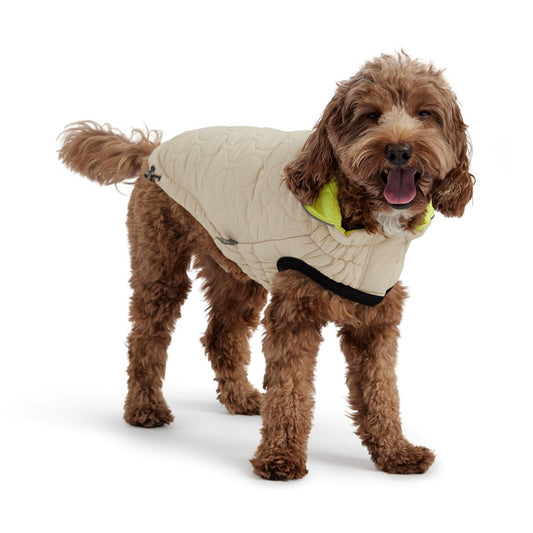 GF Pet Elasto-Fit Reversible Chalet Dog Jacket in Sand/Lime Dog Apparel GF Pet Small (S)