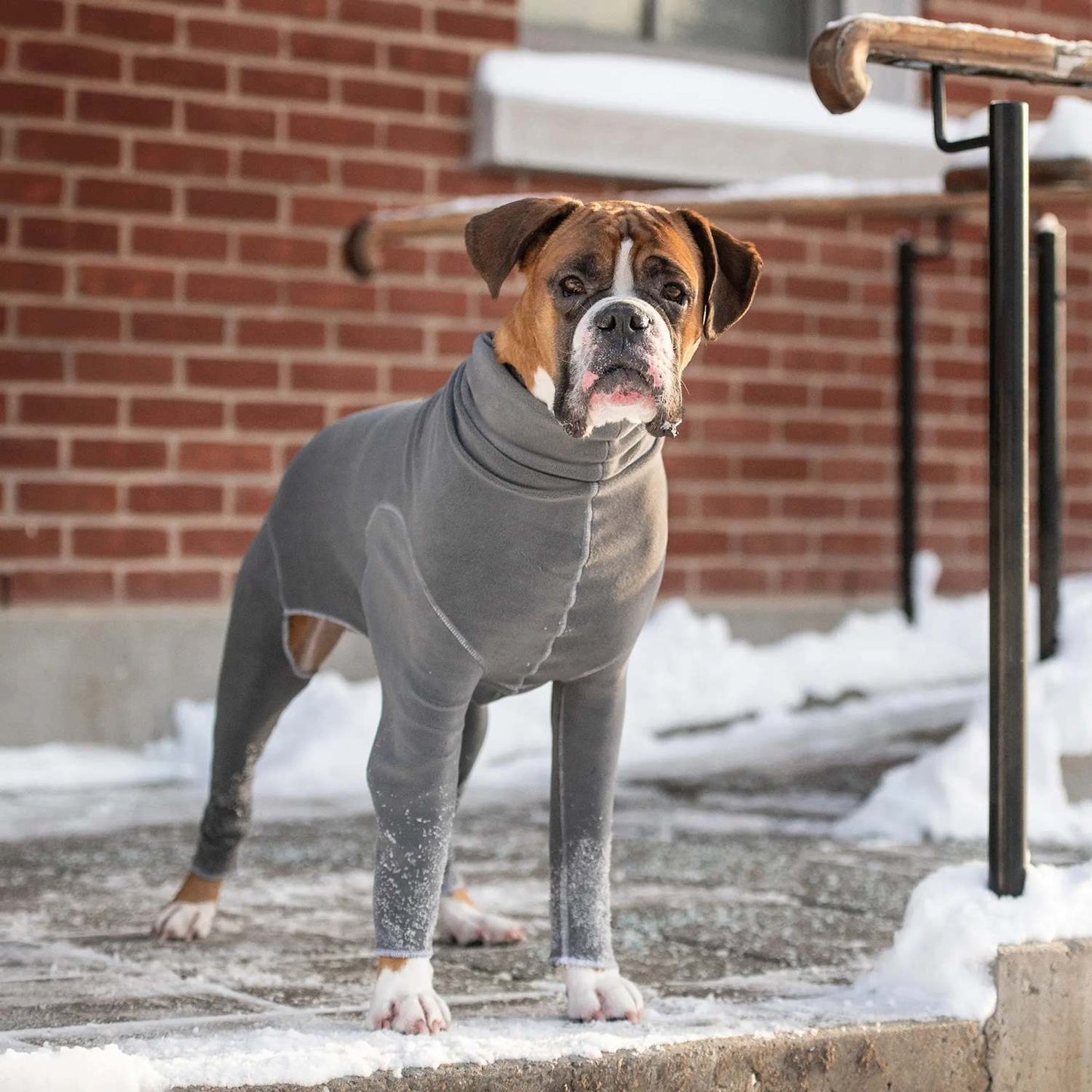 GF Pet Gondola Dog Onesie in Charcoal Dog Apparel GF Pet Large (L)