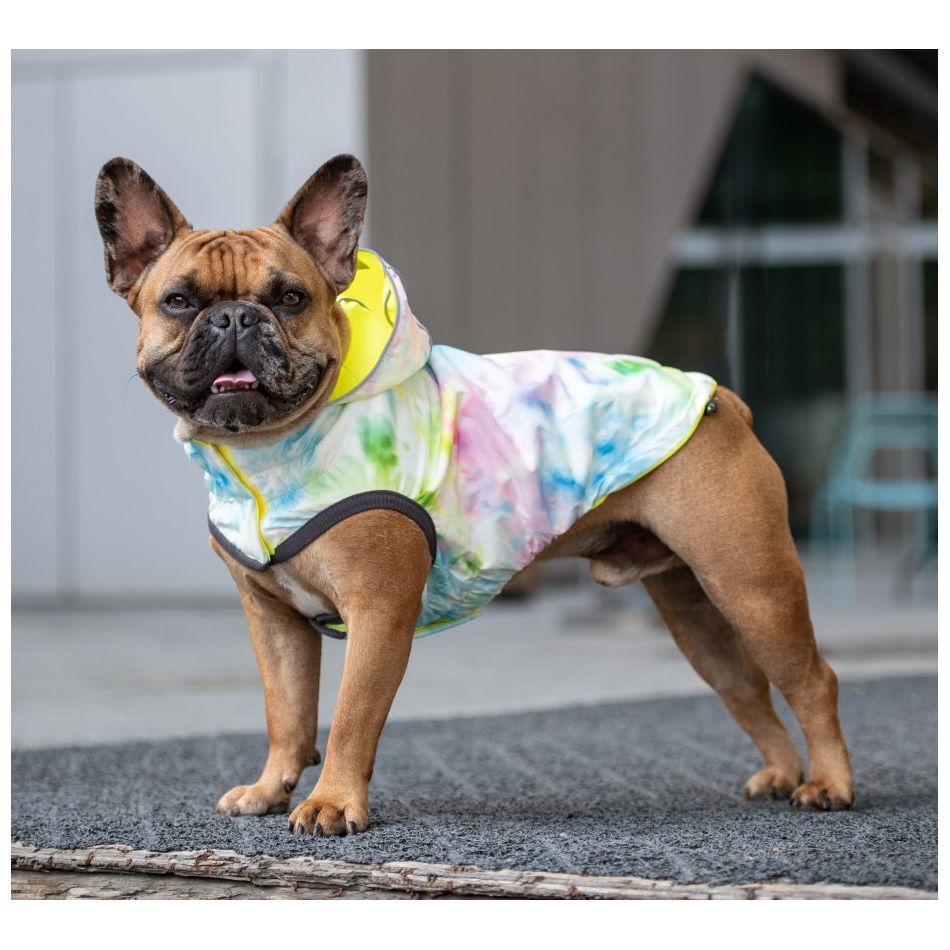 GF Pet Reversible Elasto-Fit Dog Raincoat in Neon Yellow/Soft Tie Dye Dog Apparel GF Pet Extra small (XS) Yellow