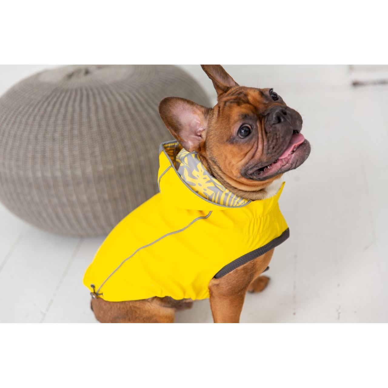GF Pet Reversible Elasto-Fit Dog Raincoat in Neon Yellow/Soft Tie Dye Dog Apparel GF Pet Extra small (XS) Yellow Leaves