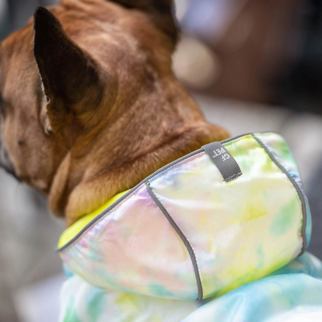 GF Pet Reversible Elasto-Fit Dog Raincoat in Neon Yellow/Soft Tie Dye Dog Apparel GF Pet