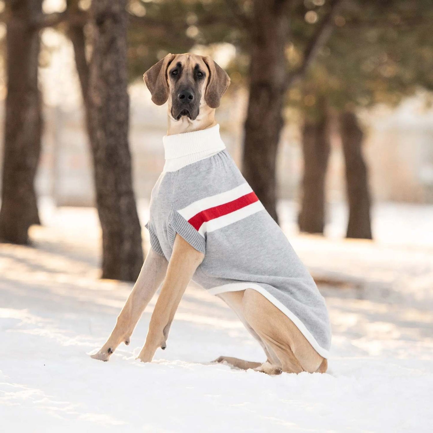 GF Pet Trekking Dog Sweater in Grey Mix - XS Dog Apparel GF Pet Large (L)