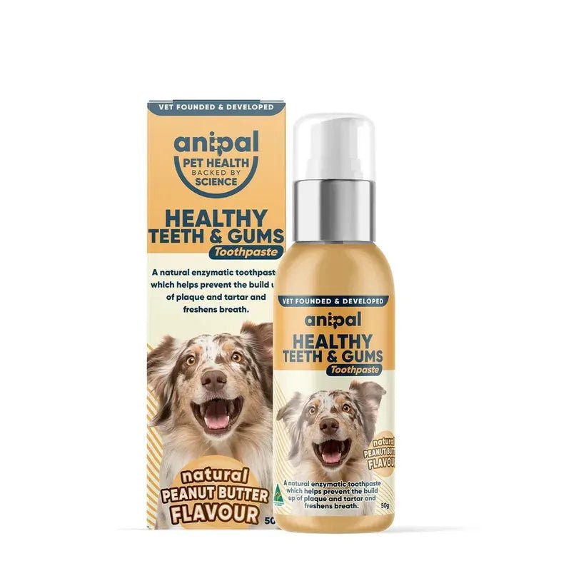 Healthy Teeth & Gums Toothpaste 50gm Woofy and Whiskers