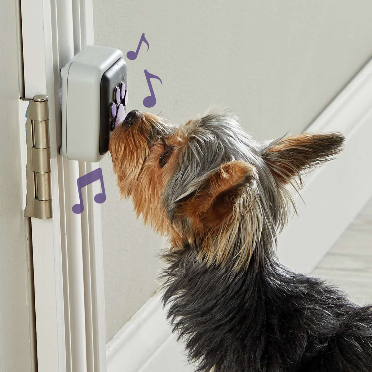 Hunger For Words Talking Pet Doorbell - Perfect when there's no doggy door! interactive dog doorbell Hunger for words