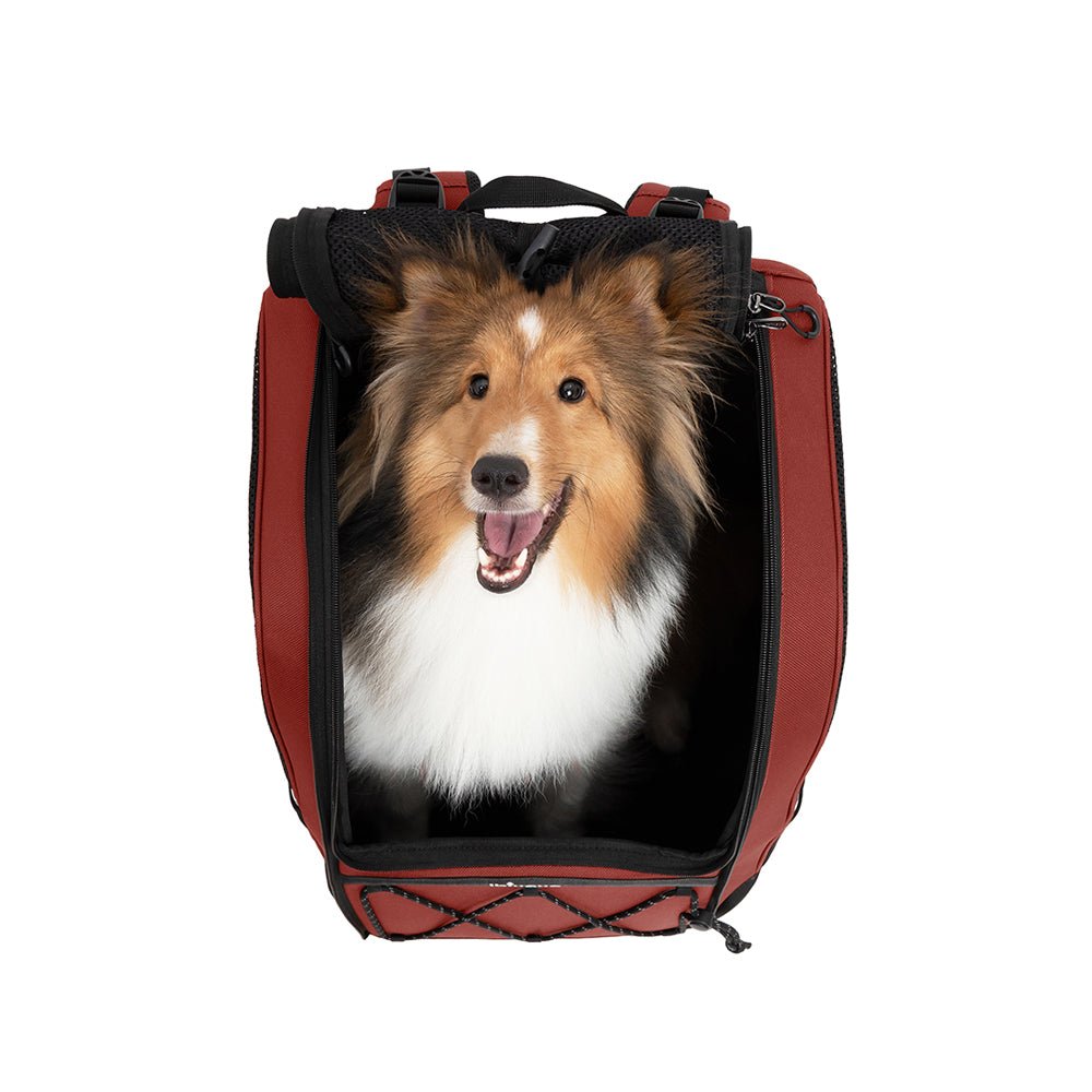 Ibiyaya Champion 3-in-1 Carrier, Backpack & Car Seat for Dogs up to 12kg Pet Carrier Ibiyaya