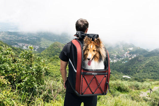 Ibiyaya Champion 3-in-1 Carrier, Backpack & Car Seat for Dogs up to 12kg Pet Carrier Ibiyaya