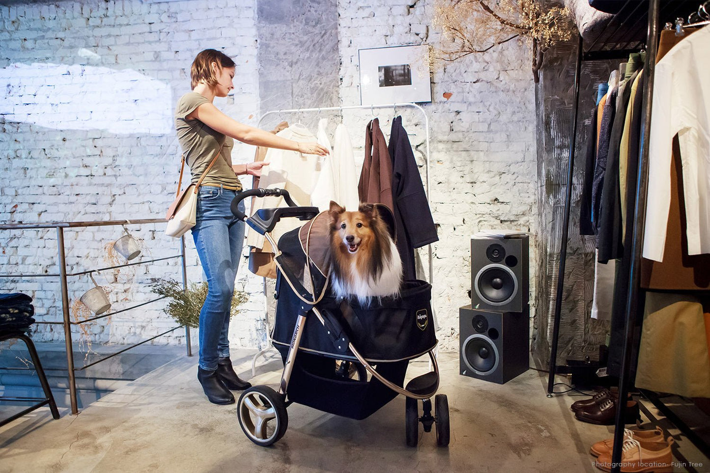 Ibiyaya "Monarch" Premium Pet Jogger Stroller - Luxury Gold pet stroller Ibiyaya