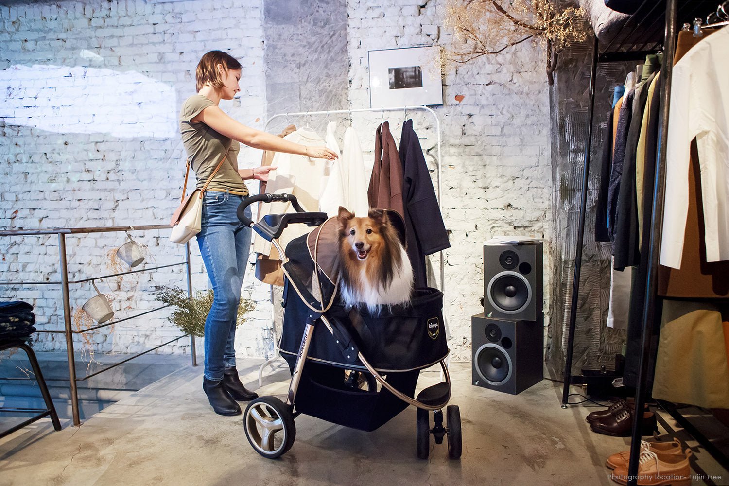 Ibiyaya "Monarch" Premium Pet Jogger Stroller - Luxury Gold pet stroller Ibiyaya