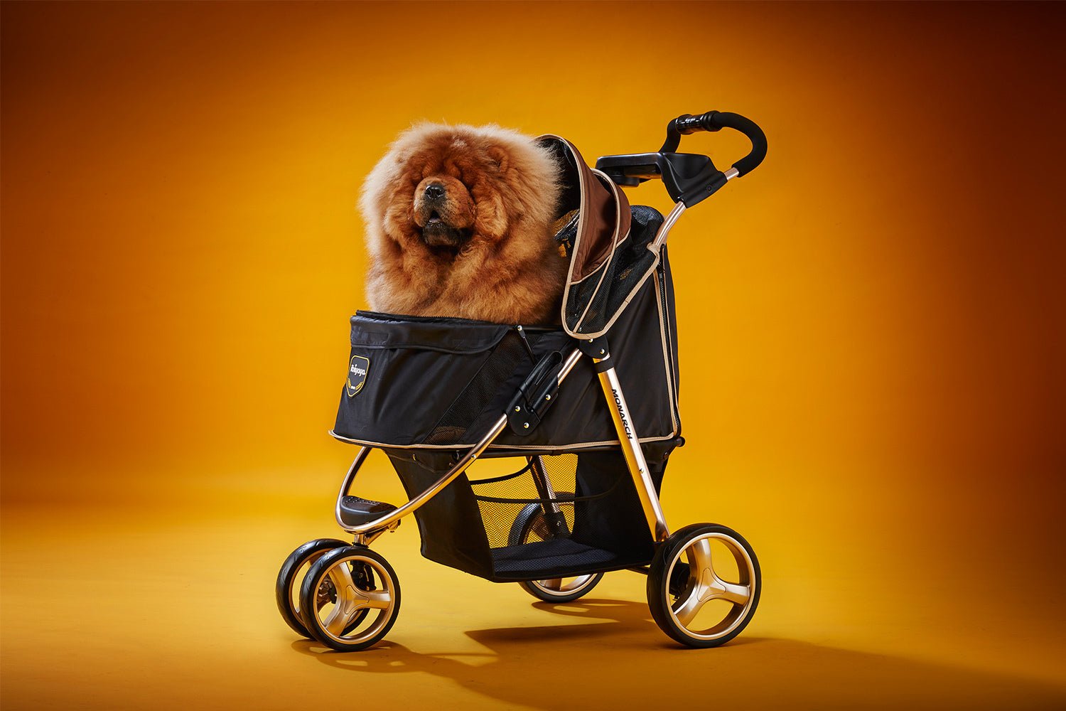 Ibiyaya "Monarch" Premium Pet Jogger Stroller - Luxury Gold pet stroller Ibiyaya