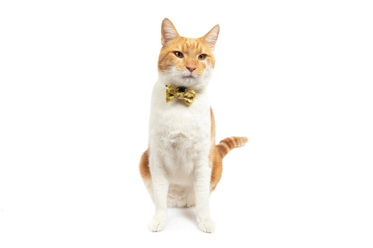 Little Kitty Co CAT COLLAR & BOW TIE: Bee-Hiving Little Kitty Co.