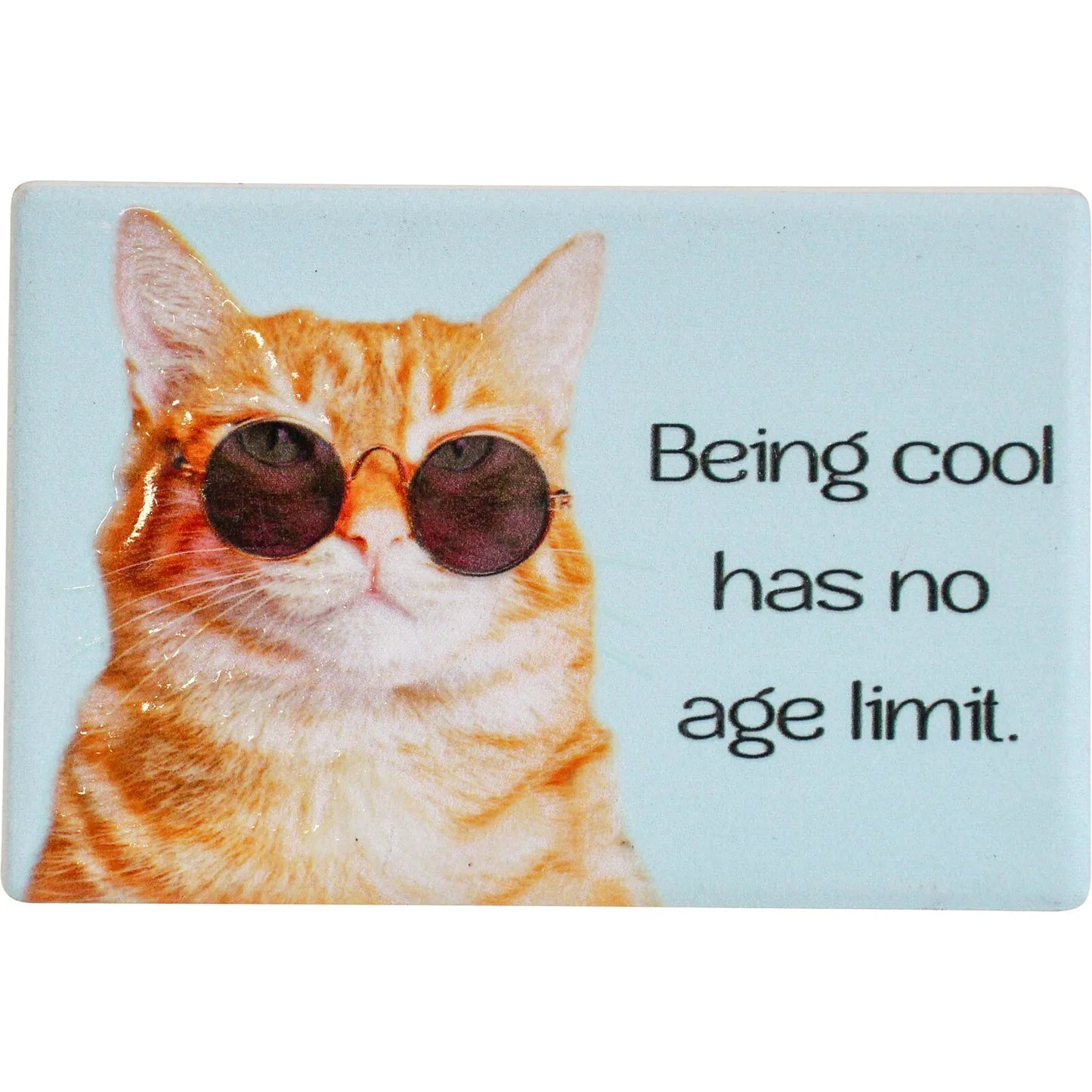Magnet Birdie Birthday Refridgerator Magnet Lavida Cool Age Limit