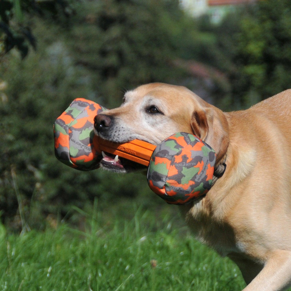 Major Dog Barbell - Small - Retrieval Toy Pet Care > Toys Major Dog Large