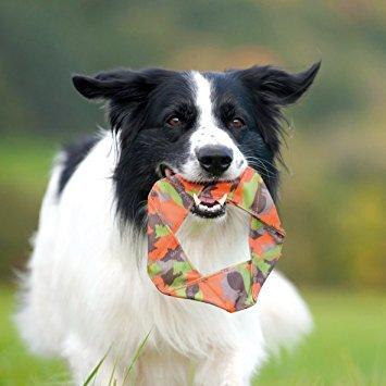 Major Dog Flying Felix - Fetch Toy Pet Care > Toys Major Dog