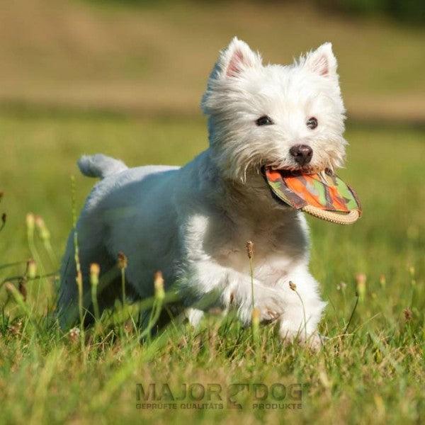 Major Dog Mini Frisbee - Fetch Toy Pet Care > Toys Major Dog