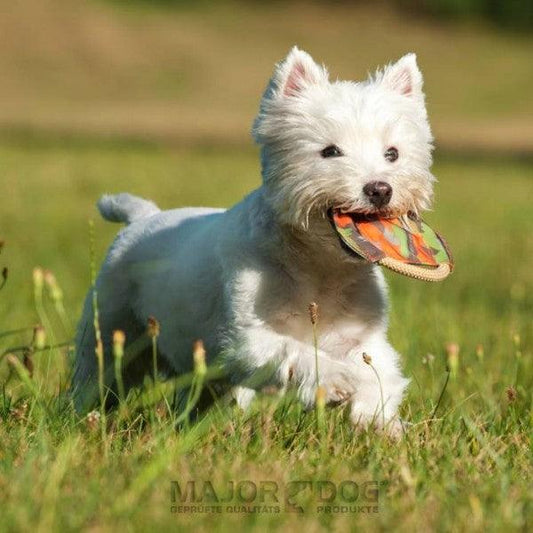 Major Dog Mini Frisbee - Fetch Toy Pet Care > Toys Major Dog