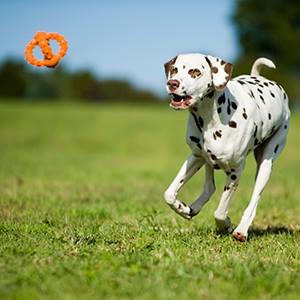 Major Dog Octopus Retrieval Ball - Large - Fetch Toy Pet Care > Toys Major Dog