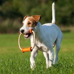 Major Dog Scuffle Dummy Large- Tug Toy Pet Care > Toys Major Dog