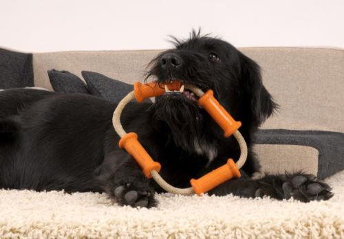 Major Dog Tussle Dummy Dog Toy Small - Tug Toy Pet Care > Toys Major Dog