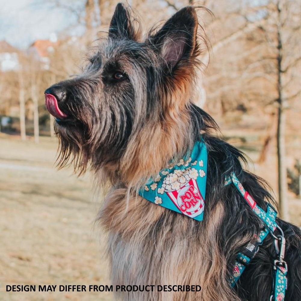 Max and Molly Bandanas - Various Designs- Large Max & Molly Urban Pets