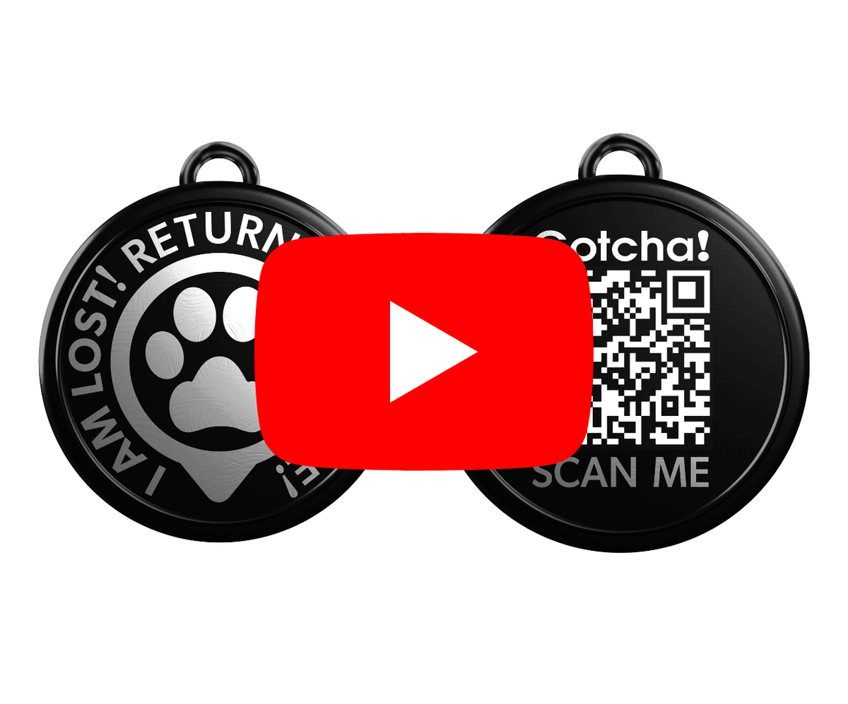 Max & Molly GOTCHA Tag ID Tag Max & Molly Urban Pets
