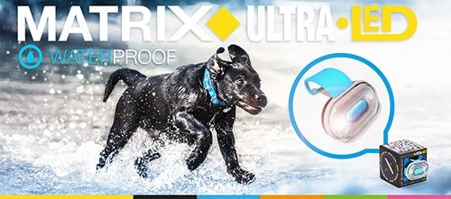 Max & Molly Matrix Ultra LED Harness/Collar Safety light Collar safety light Max & Molly Urban Pets