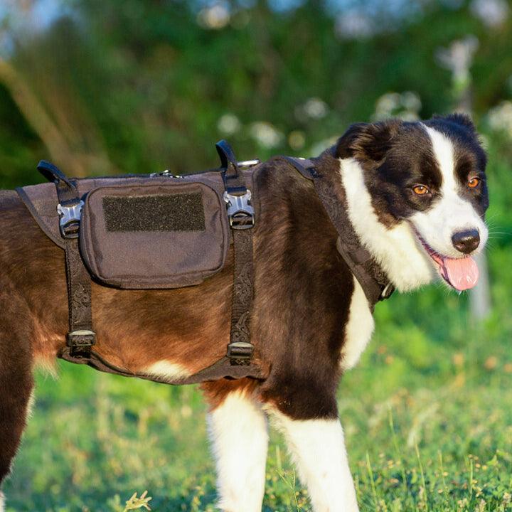 Military Harness Army Green XL Pet Care > Dog Supplies WINHYEPET