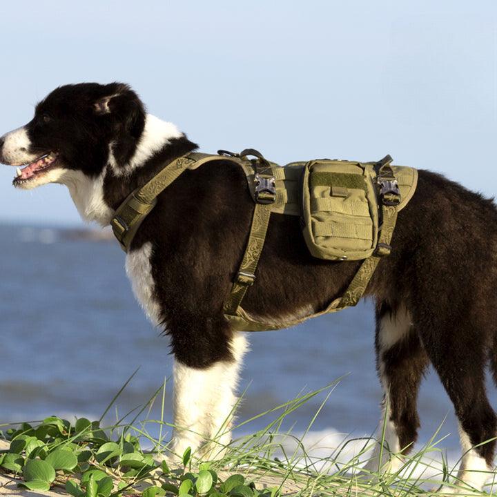 Military Harness Army Green XL Pet Care > Dog Supplies WINHYEPET