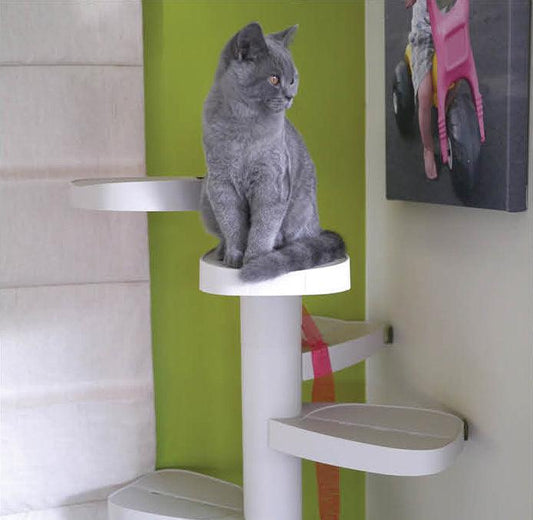 Monkee Tree - The Scalable Cat Climbing Ladder 18 Trunk Starter Pack Cat Toys and Scratchers Monkee Tree