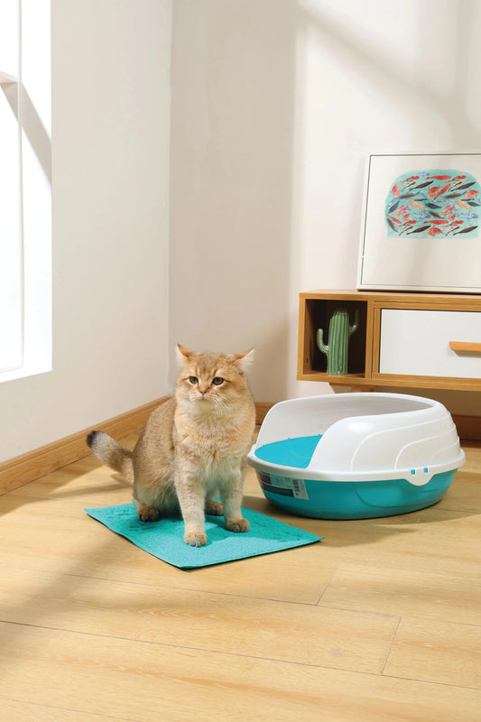 Mpets Footprint Cat Litter Mat Blue cat litter mat mpets