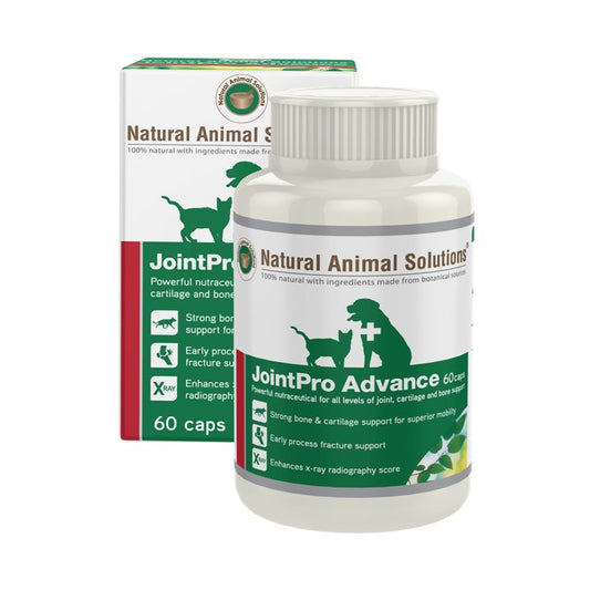 Natural Animal Solutions JointPro Advance for Cats & Dogs 60 capsules joint supplement for Pets Natural Animal Solutions