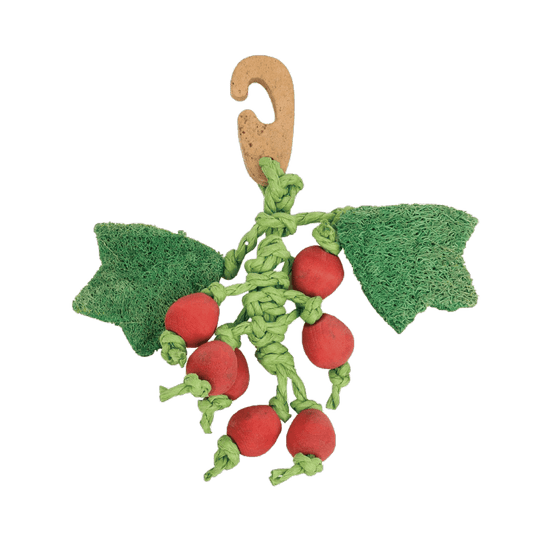 Nature Island Berry Nibbler small animal treats Nature Island