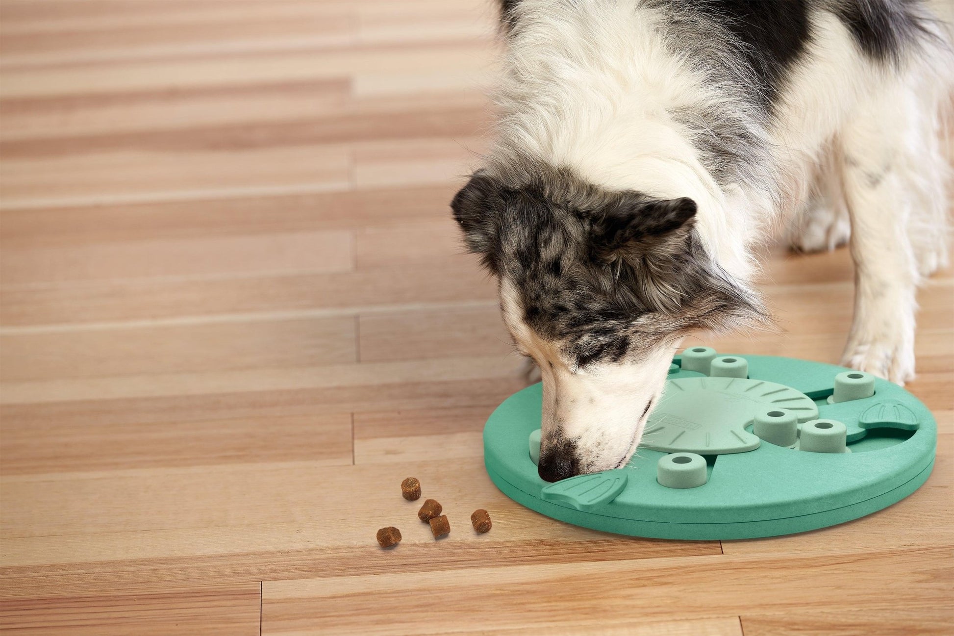 Nina Ottosson Dog Worker Treat Dispensing Interactive Dog Game Level 3 MLK Dog toys Nina Ottoson