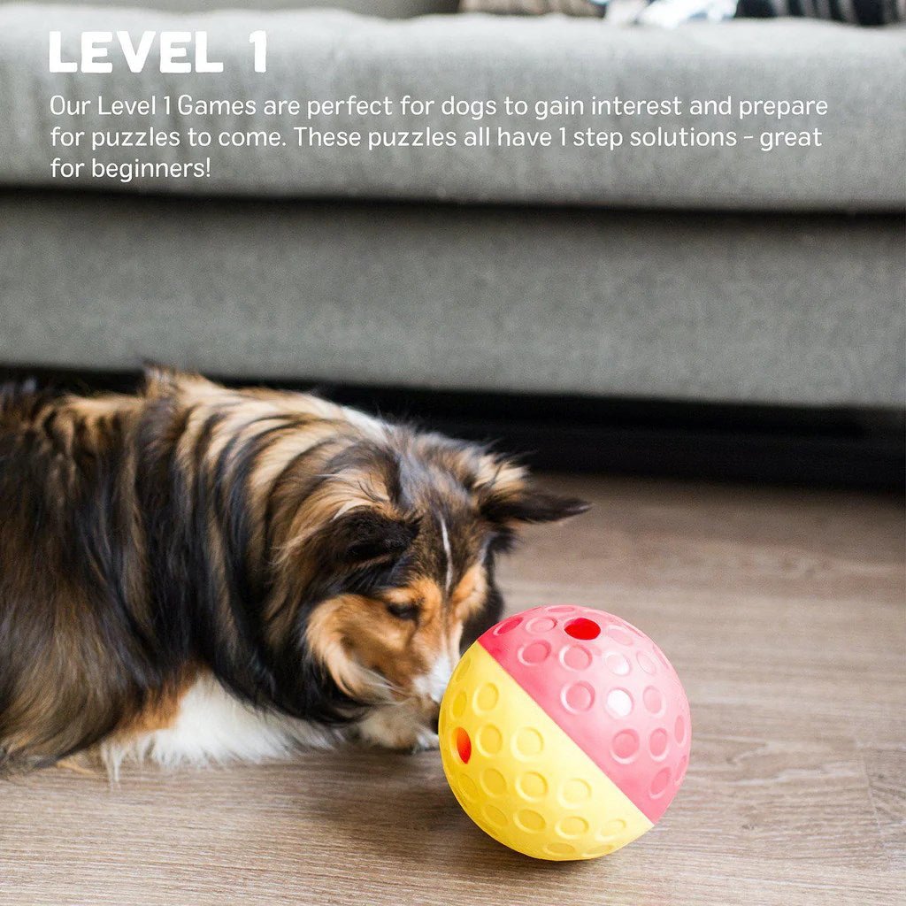 Nina Ottosson Treat Tumble Ball for Cats & Dogs Dog toys Woofy and Whiskers