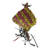 Ninos Java piñata LargeWoofy and Whiskers