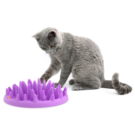 Northmate Catch Interactive Slow Food Cat Bowl Interactive cat toy northmate