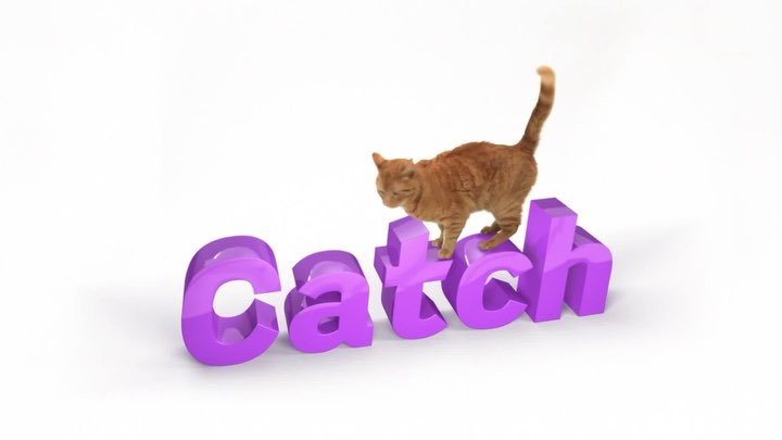 Northmate Catch Interactive Slow Food Cat Bowl Interactive cat toy northmate