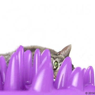 Northmate Catch Interactive Slow Food Cat Bowl Interactive cat toy northmate