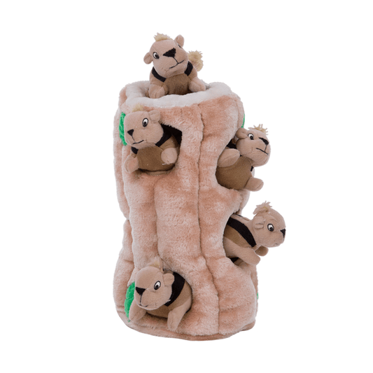 Outward Hound – Hide-A-Squirrel Dog toys Outward Hound