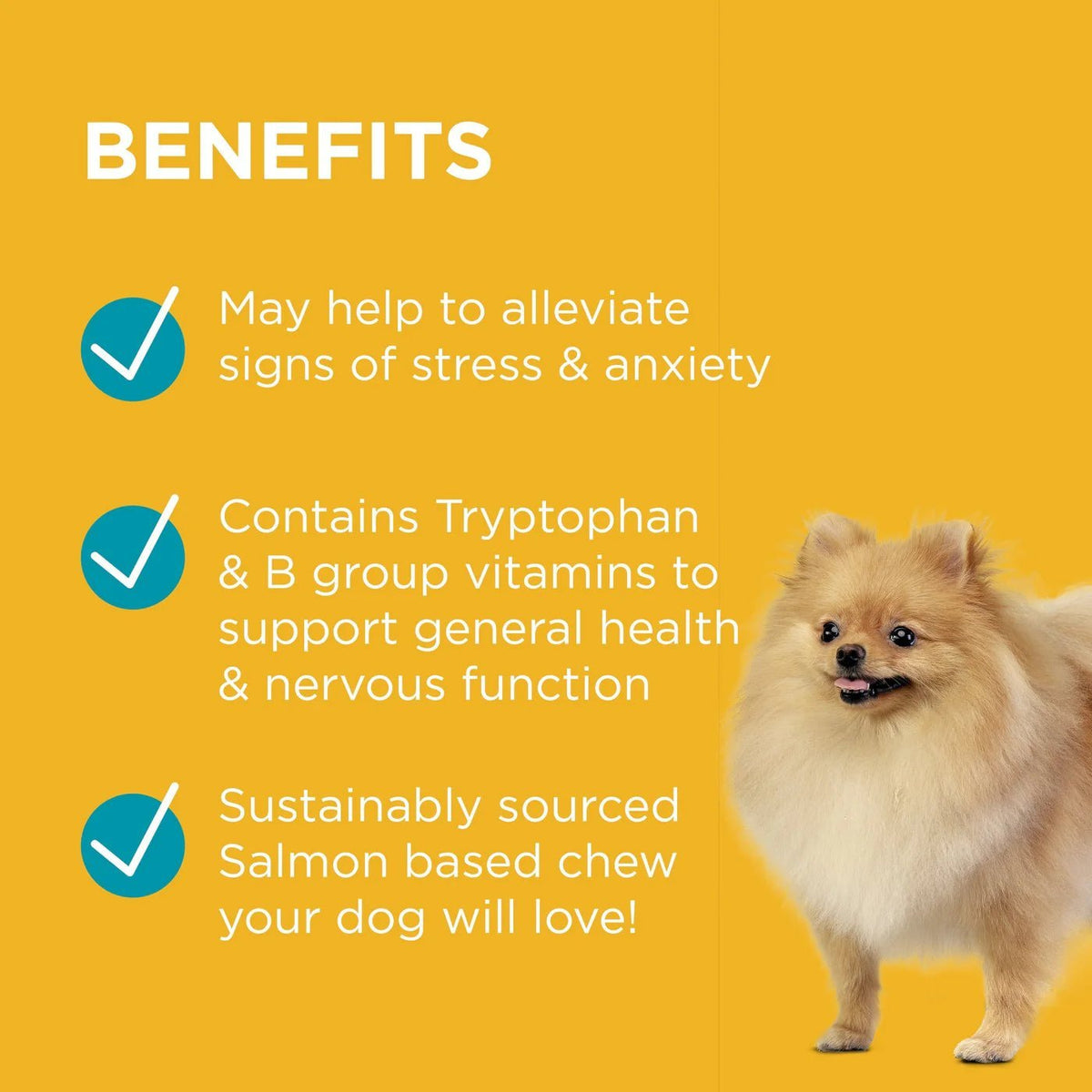 PAW Complete Calm Multi + Tryptophan Multivitamin Chews 300g Pet Vitamins & Supplements Blackmores