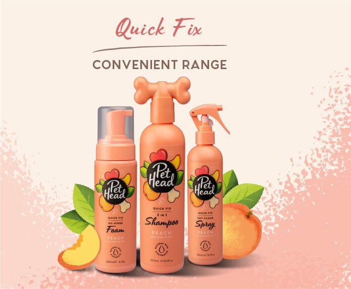 Pet Head – Quick Fix Dog Shampoo Company of Animals