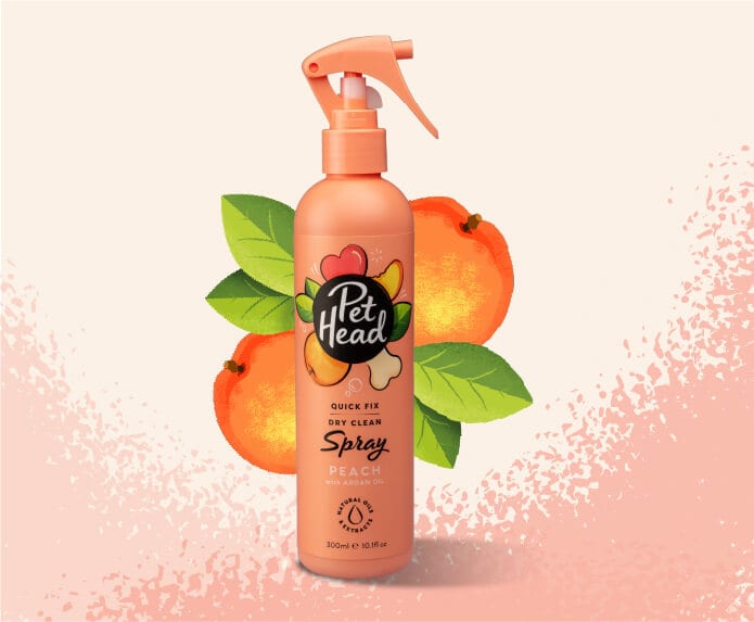 Pet Head – Quick Fix Dog Shampoo Company of Animals