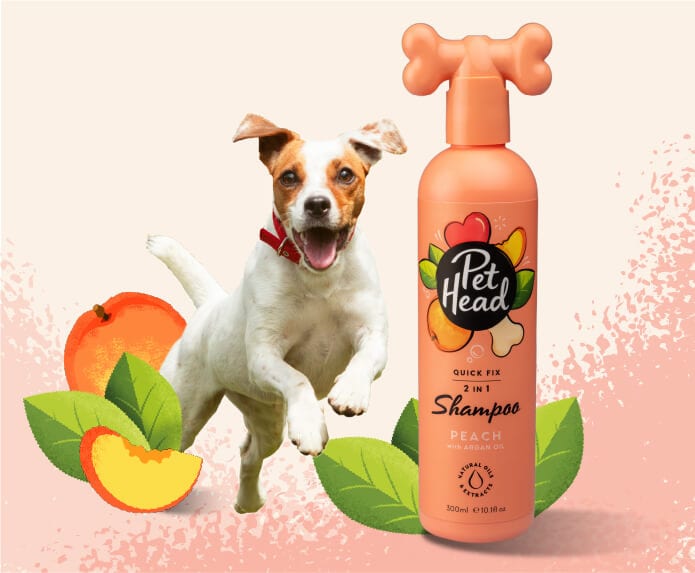 Pet Head – Quick Fix Dog Shampoo Company of Animals