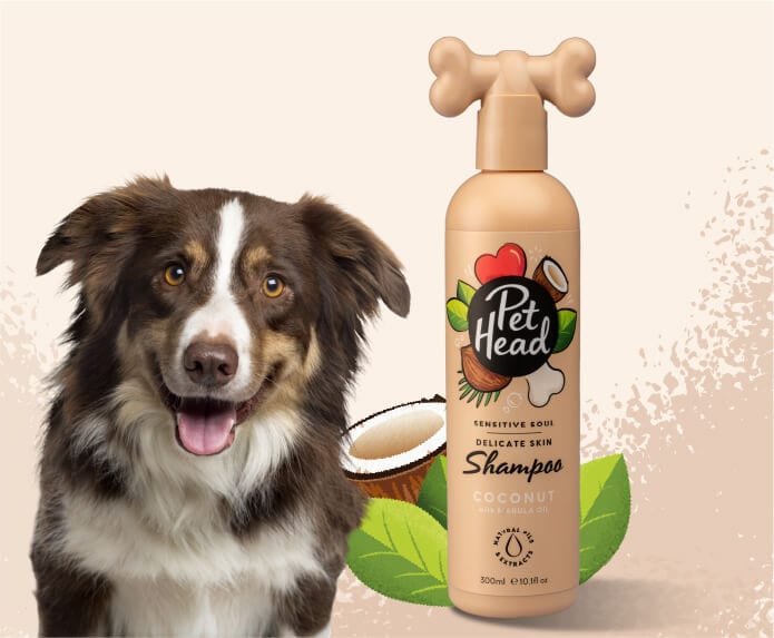 Pet Head – Sensitive Soul Dog Shampoo Pet Head Pet Head - Sensitive Soul - Delicate Skin Shampoo - 300ml