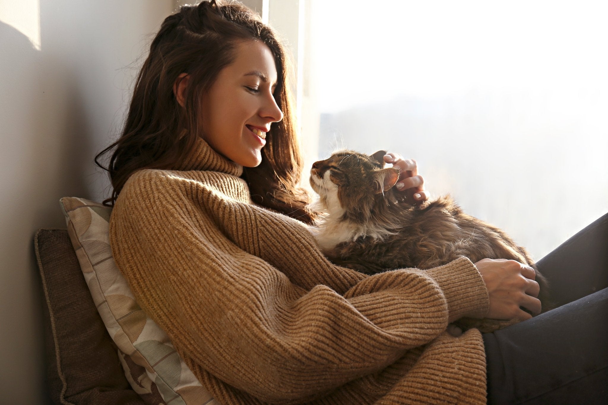 Petcare 1 visit per day VIP Clients petcare Woofy and Whiskers 1 visit