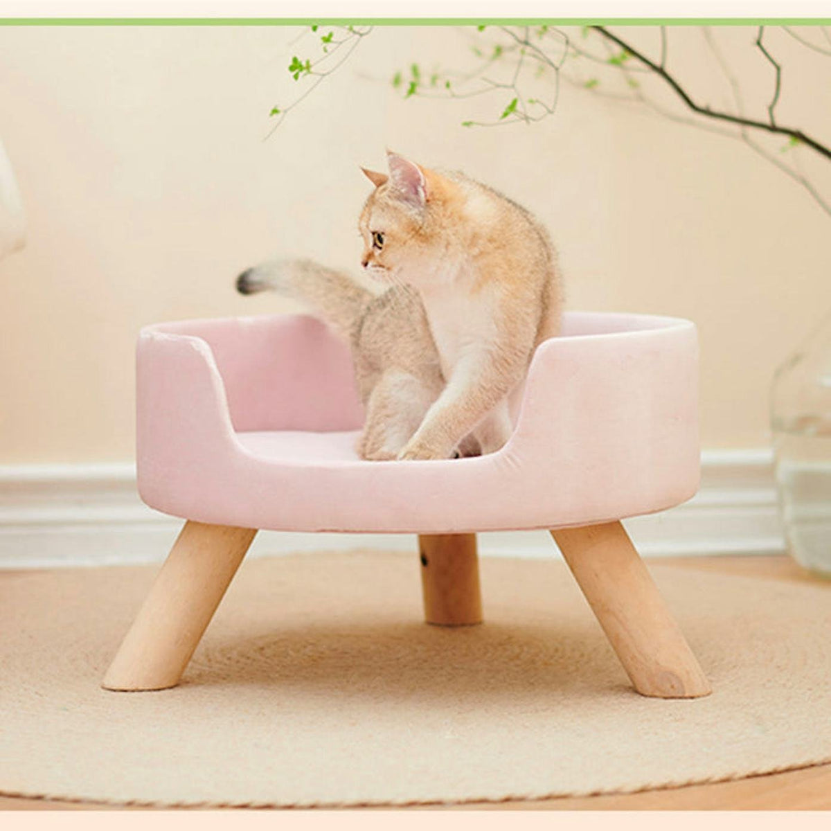 Petsbelle Lumin Cat Bed Cat Toys and Scratchers Petsbelle Pink