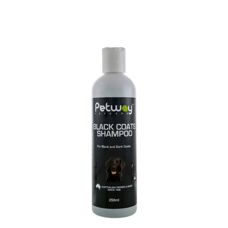 Petway Wicked White Dog Shampoo Grooming products petway Black Coat