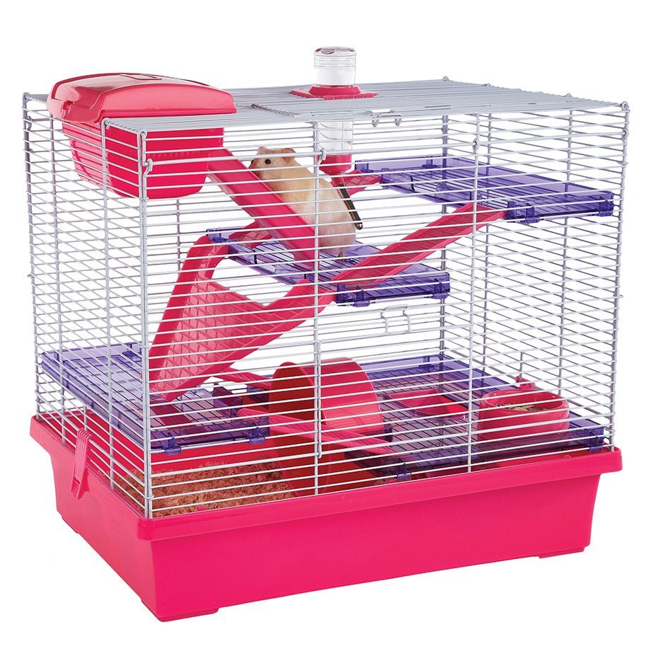 Pico XL - Translucent Teal Pet Care > Coops & Hutches > Small Animal Habitats & Cages Rosewood Pink 50*35.5*45cm