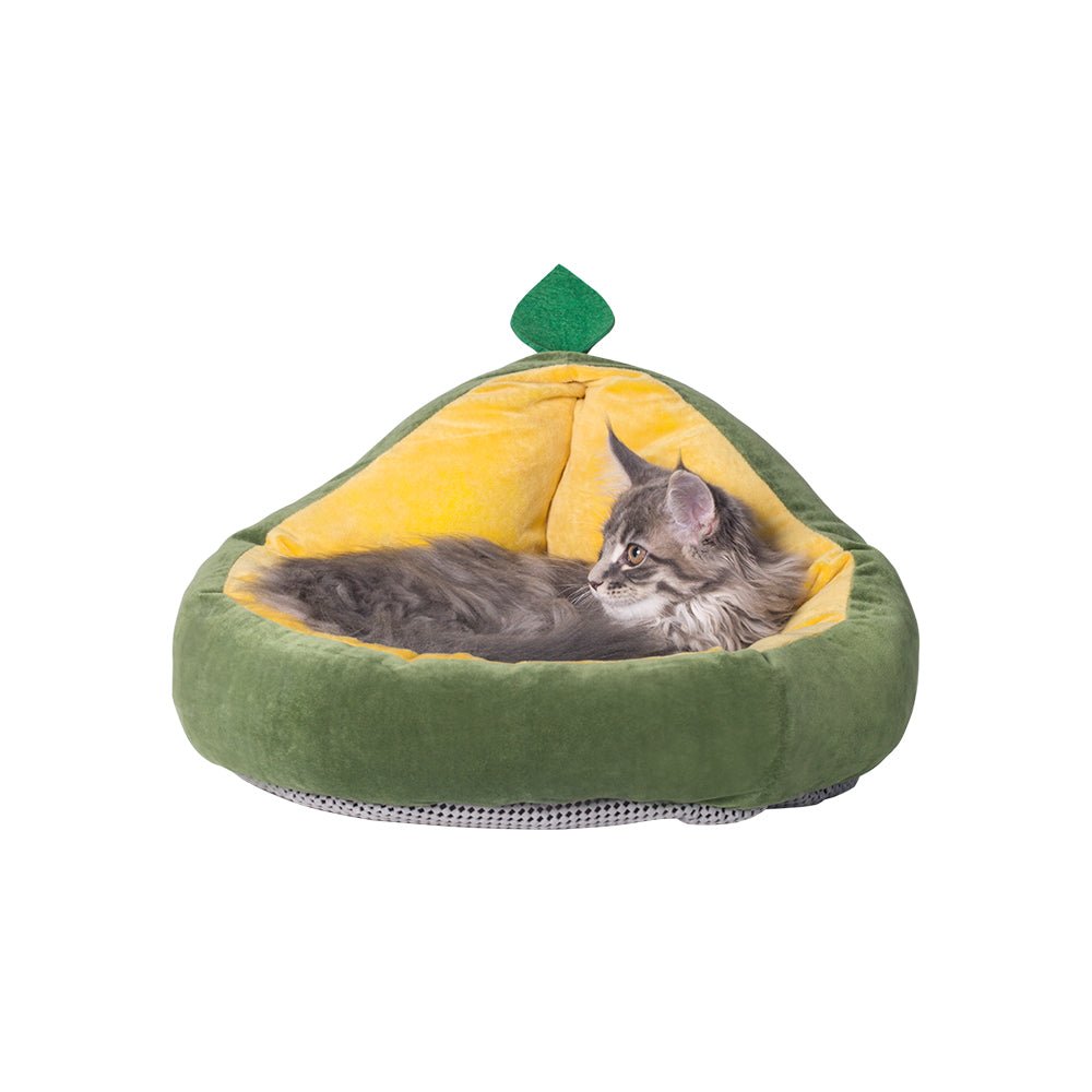 PIDAN Pet Bed - Avocado - Green Pet Care > Pet Food > Cat Food Woofy and Whiskers